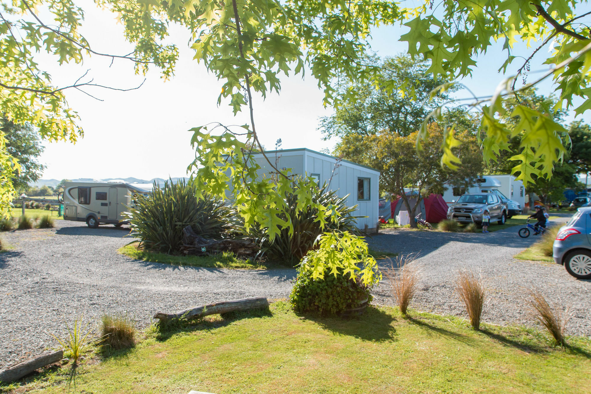 Martinborough Top 10 Holiday Park Екстер'єр фото